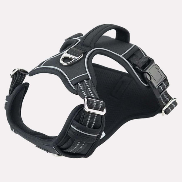 Design Hundesele - Sort og Grå, Ergonomisk Nylon i S, M, L, XL - Komfort & Sikkerhed