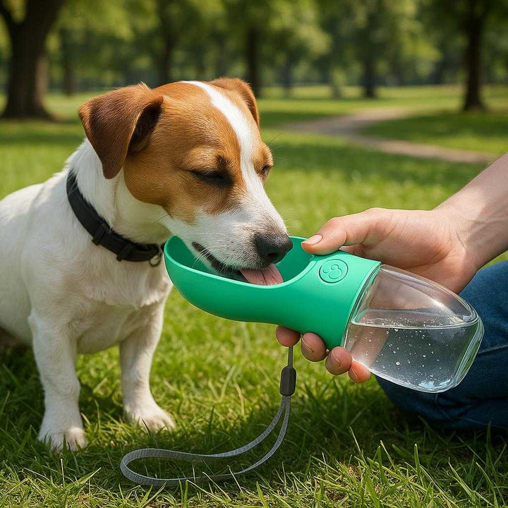 Drikkedunk til Hunde - Praktisk og Holdbar Løsning i Turkis Design med Gennemsigtig Flaske og Skålformet Top: A realistic park setting where the product is properly grounded on a grassy area, being actively used by a person holding the product with one hand while a small dog drinks from the bowl-shaped top.