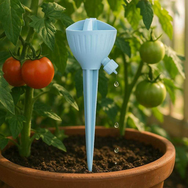 Drypvanding til Planter - Effektivt Drypvandingssystem til Drivhus og Have - Tilgængelig i Fire Farver: A lush greenhouse setting, where the blue drip irrigation system is accurately integrated into a pot of thriving tomato plants, its spike securely in the soil.