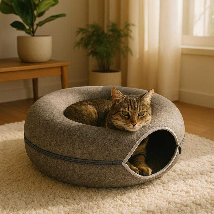 Filt Kattetunnel i moderne design - Komfortabel og hyggelig hvileplads til kæledyr - Tilgængelig i 6 farver og 2 størrelser: A realistic living room setting where the product is properly grounded on a soft, plush rug, being comfortably occupied by a cat, with natural lighting from a nearby window casting realistic shadows and showing clear contact points between the product and the rug.