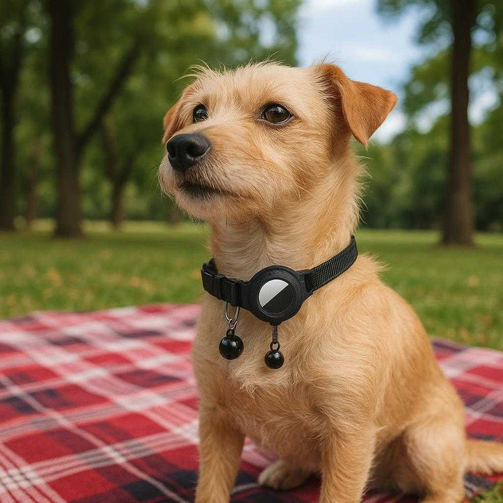 Holder til moderne kæledyr: Paw & Whisker AirTag Halsbånd med Integreret Holder - sikker og stilfuld løsning: A different realistic urban park setting where the product is securely positioned on the neck of a small dog sitting obediently near a picnic blanket.