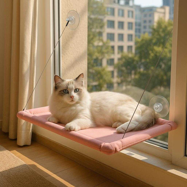 Kattehængekøje i Moderne Design - Nem Installation, Pladsbesparende, Komfortabel - Tilgængelig i Lyserød, Blå, Beige, Sort: A realistic cozy indoor setting in a modern apartment where the cat hammock is securely attached to a large window using strong suction cups.