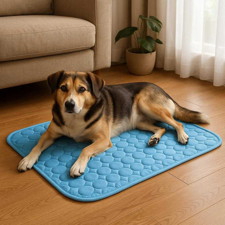 Kølemåtte til hund: Selvaktiverende, slidstærk og let at transportere - Tilgængelig i Blå, Lyserød, Grå og forskellige størrelser: A realistic living room setting where the Kølemåtte til hund is properly grounded on a wooden floor, being actively used by a relaxed dog lying comfortably on it.