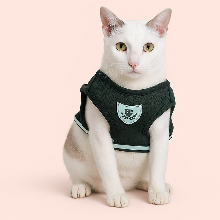 Enhanced variant image