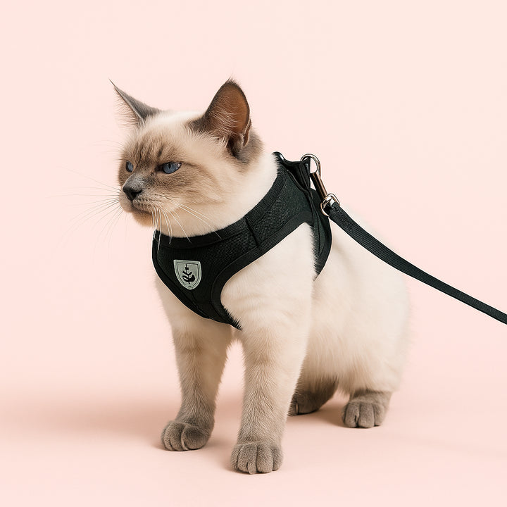 Enhanced variant image