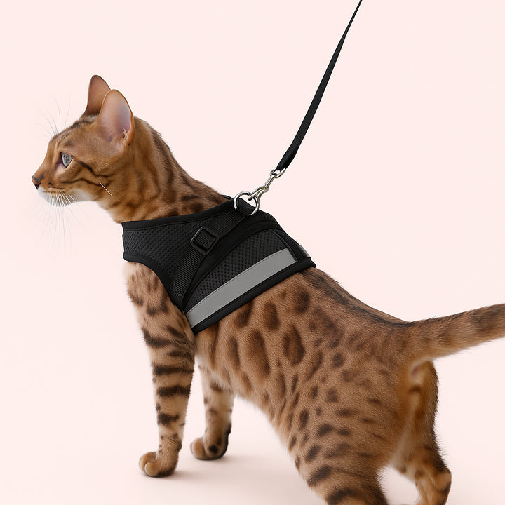 Enhanced variant image