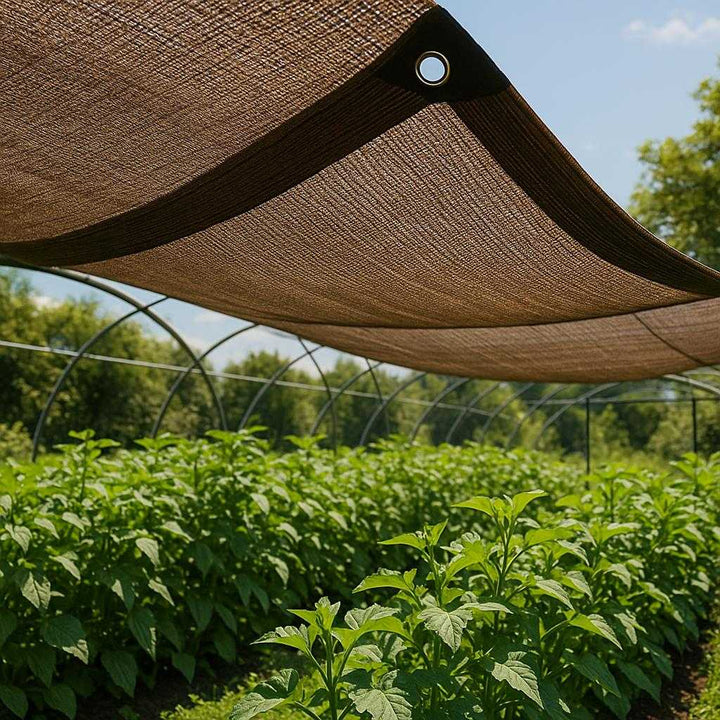 Skyggenet i kraftig vævning med UV-beskyttelse – Professionelt og robust til drivhus og haveanvendelse. The professionally woven shade net with UV protection is stretched across a greenhouse roof, casting a gentle shadow on flourishing green plants underneath in a sunny garden setting.