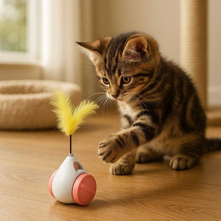 Væltende legetøj til katte - Interaktivt, stimulerende og underholdende i lyserød, blå, grøn, gul og sort: A realistic living room setting where the cat toy is properly grounded on a wooden floor, actively used by a playful kitten batting at the toy with its paw.