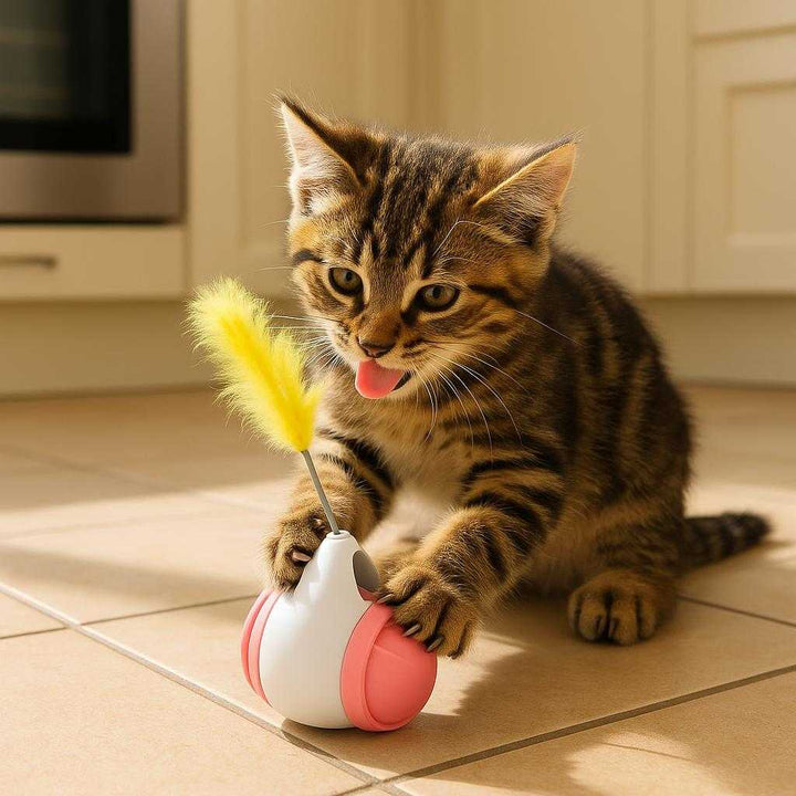 Væltende legetøj til katte - Interaktivt, stimulerende og underholdende i lyserød, blå, grøn, gul og sort: A different realistic kitchen setting where the cat toy is securely positioned on a tiled floor, naturally placed between a cat's paws.